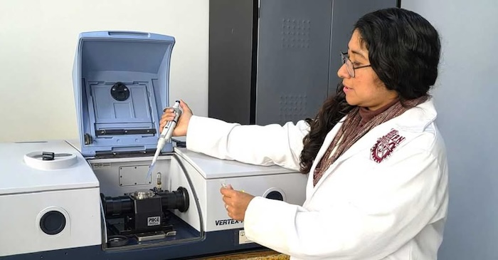 Investigadores del IPN crearon un biosensor que detecta infecciones por Helicobacter pylori, bacteria asociada con gastritis, úlceras y cáncer de estómago.