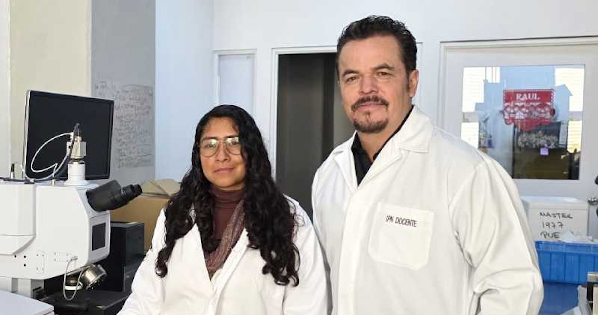 Investigadores del IPN crearon un biosensor que detecta infecciones por Helicobacter pylori, bacteria asociada con gastritis, úlceras y cáncer de estómago.