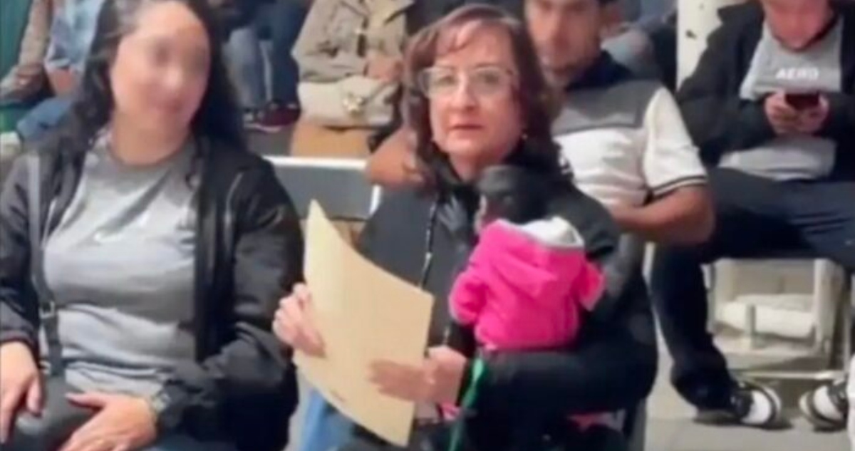 La Profepa presentó una denuncia penal contra Silvia Villarroel, regidora de Ocotlán, Jalisco, por la posesión ilegal de un mono araña.
