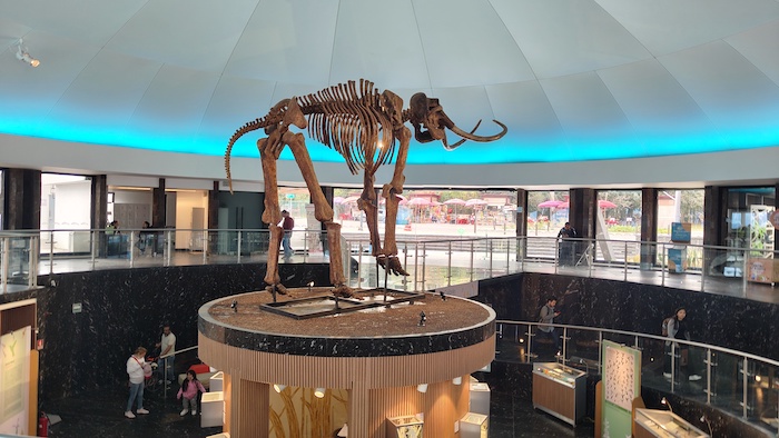 Museo Historia Natural y cultura ambiental