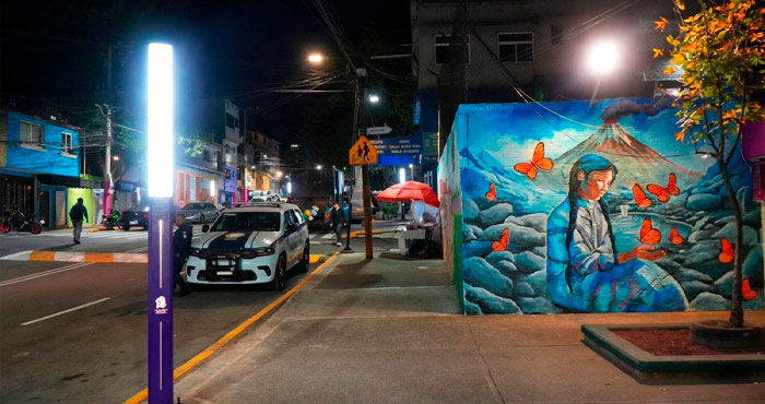 Pedregal de Santo Domingo, ejemplo de territorialidad