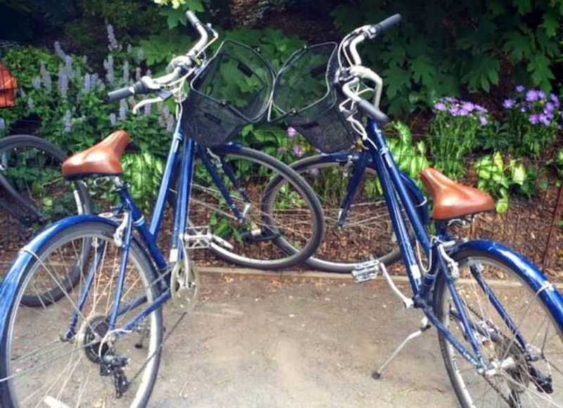 Tú, yo, Central Park en bici, no sé, piénsalo. Foto: Daniela Medina, SinEmbargo