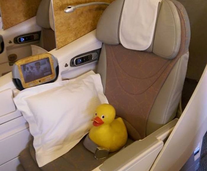 Ready for a drink and a nap... Facebook: Gale Ducky