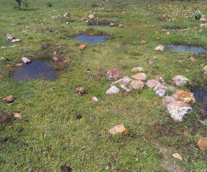 Activistas solicitaron al Gobierno de Guanajuato declare como área natural protegida a la zona conocida como corredor biológico Tambula-Los Picachos-Presa de Allende. Foto: Zona Franca.