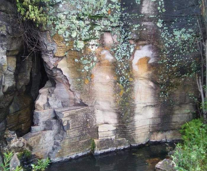 Activistas solicitaron al Gobierno de Guanajuato declare como área natural protegida a la zona conocida como corredor biológico Tambula-Los Picachos-Presa de Allende. Foto: Zona Franca.