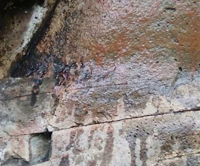 Activistas solicitaron al Gobierno de Guanajuato declare como área natural protegida a la zona conocida como corredor biológico Tambula-Los Picachos-Presa de Allende. Foto: Zona Franca.