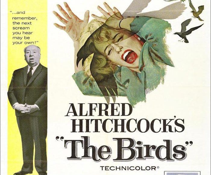 LOS PÁJAROS (1963) . Foto: filmaffinity.com